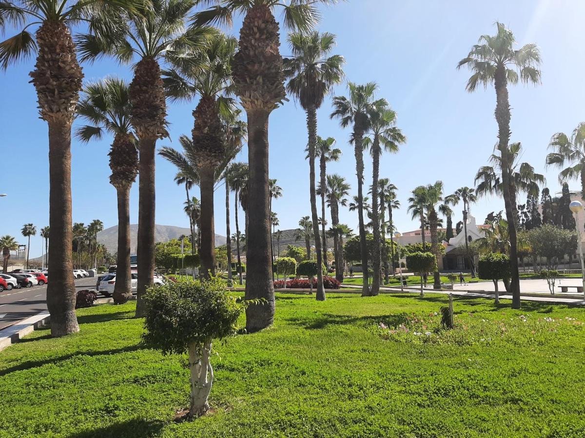 Comfortable Apartment In Las Americas, Ph317 With Pool Next To The Ocean Playa de las Américas Eksteriør billede
